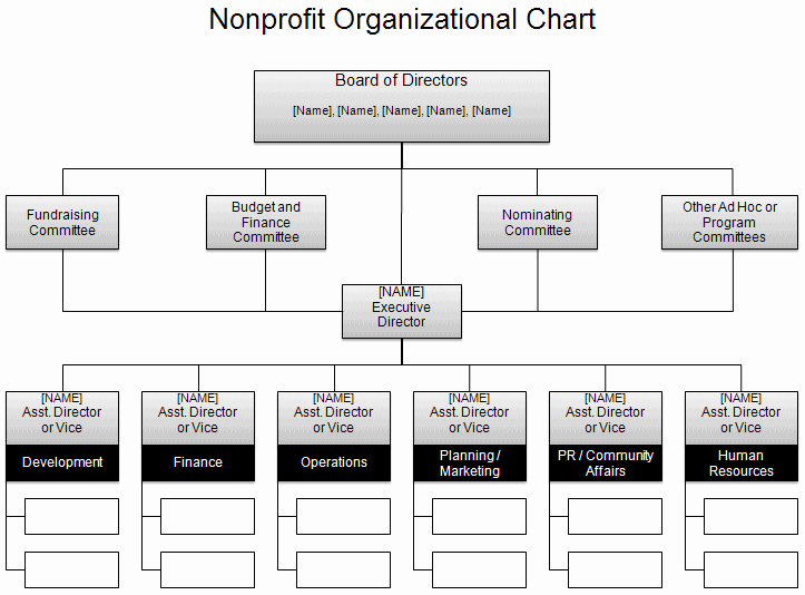 Non Profit organization Structure Template Lovely Free organizational Chart Template Pany organization