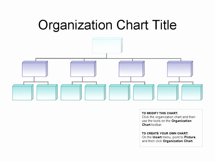 Non Profit organizational Chart Template Inspirational 4 Business organizational Chart Free Download