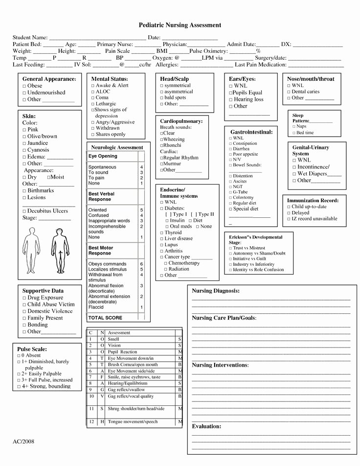 Nursing assessment Documentation Template Fresh Pediatric assessment Pediatric assessment