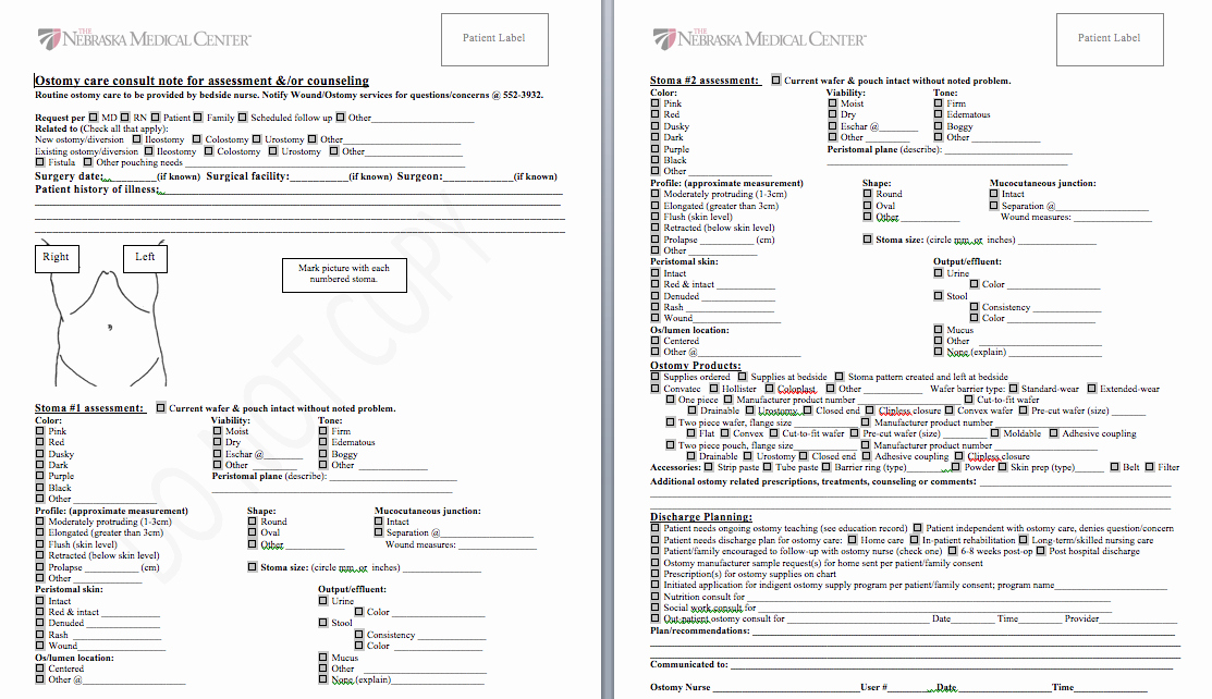 Nursing assessment Documentation Template Fresh Practical Magic Standardizing Ostomy Documentation Among