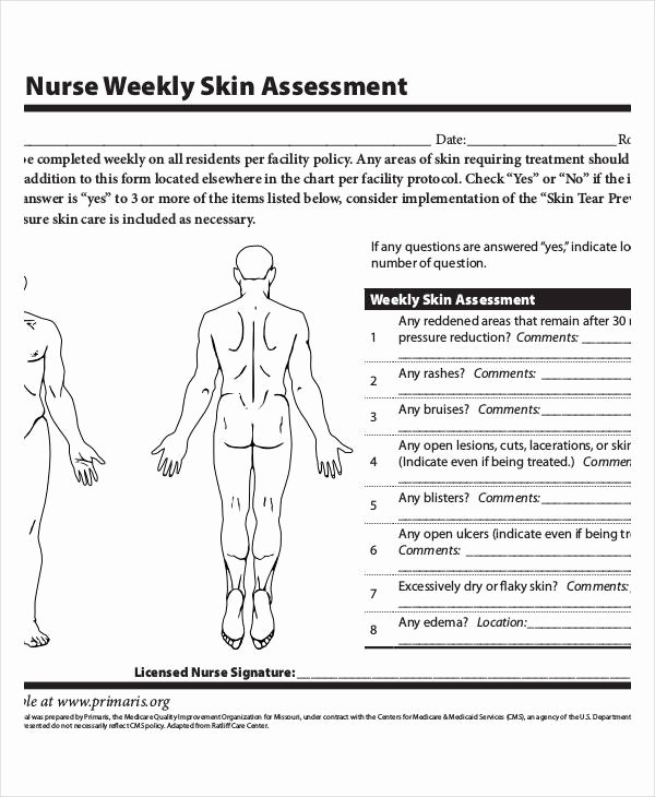 Nursing assessment Documentation Template New Free 18 Sample Nursing assessment forms