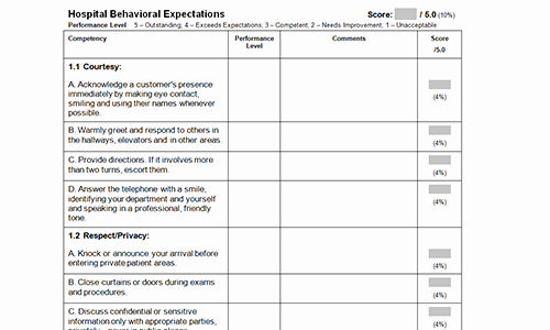 Nursing Competency assessment Template Luxury Performance Review Performance Review Petencies