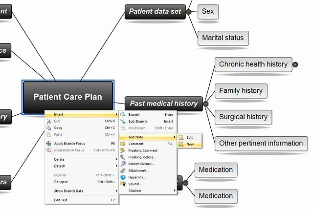 Nursing Concept Map Template Best Of Concept Mapping software for Nursing