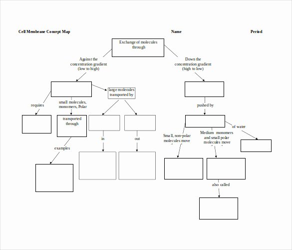Nursing Concept Map Template Best Of Nursing Concept Mapping Template
