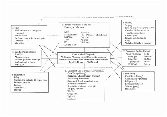 Nursing Concept Mapping Template Lovely Free 10 Sample Concept Map Templates In Pdf