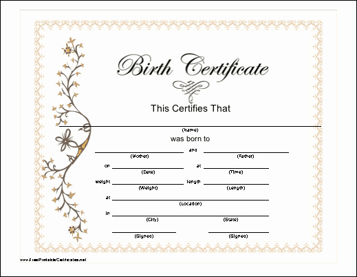 Official Birth Certificate Template Awesome Blank Birth Certificate