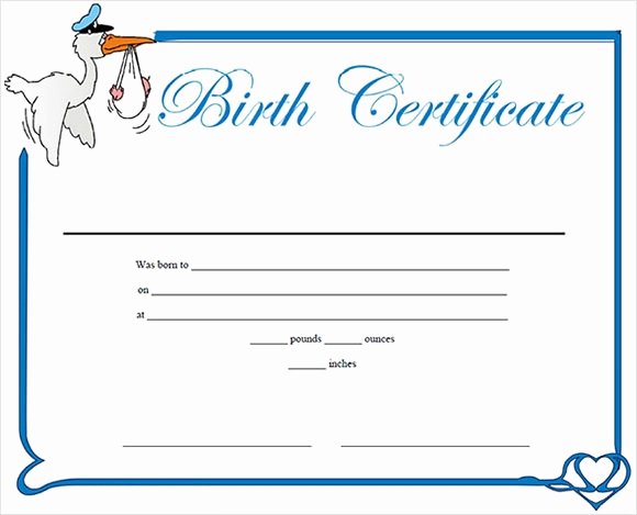 Official Birth Certificate Template Beautiful Free 12 Birth Certificate Templates In Free Examples