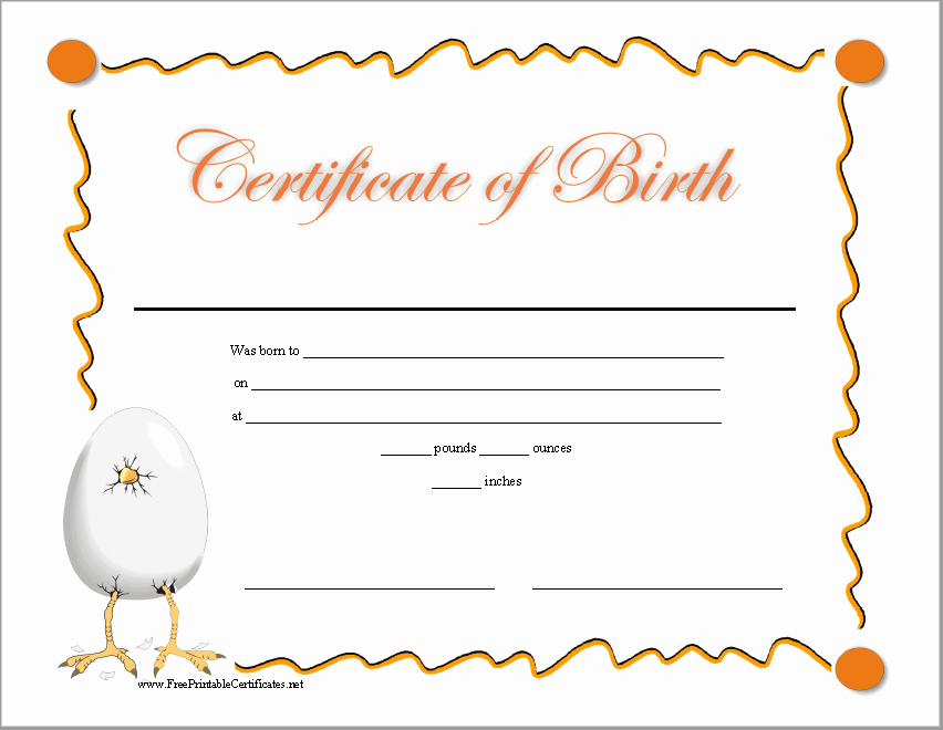 Official Birth Certificate Templates Best Of 14 Free Birth Certificate Templates In Ms Word &amp; Pdf