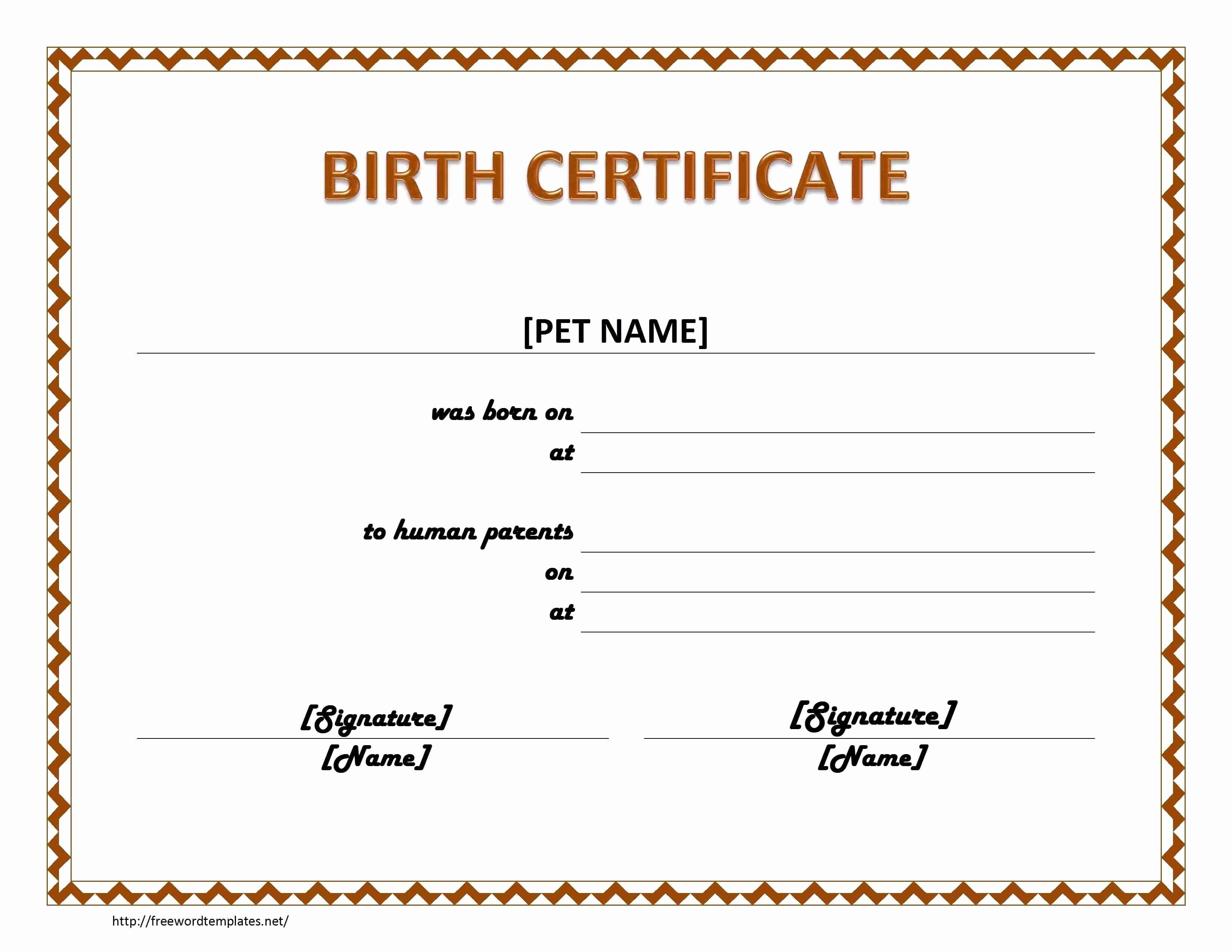 Official Birth Certificate Templates Best Of 27 Exclusive Ficial Birth Certificate Template Ga