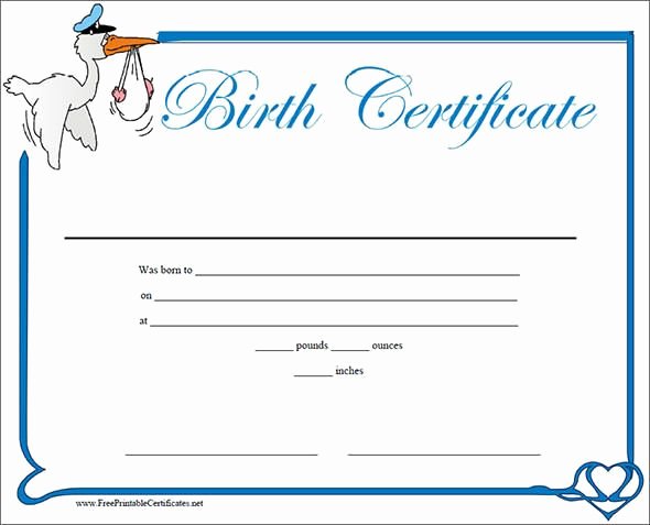 Official Birth Certificate Templates Best Of Birth6 Baby