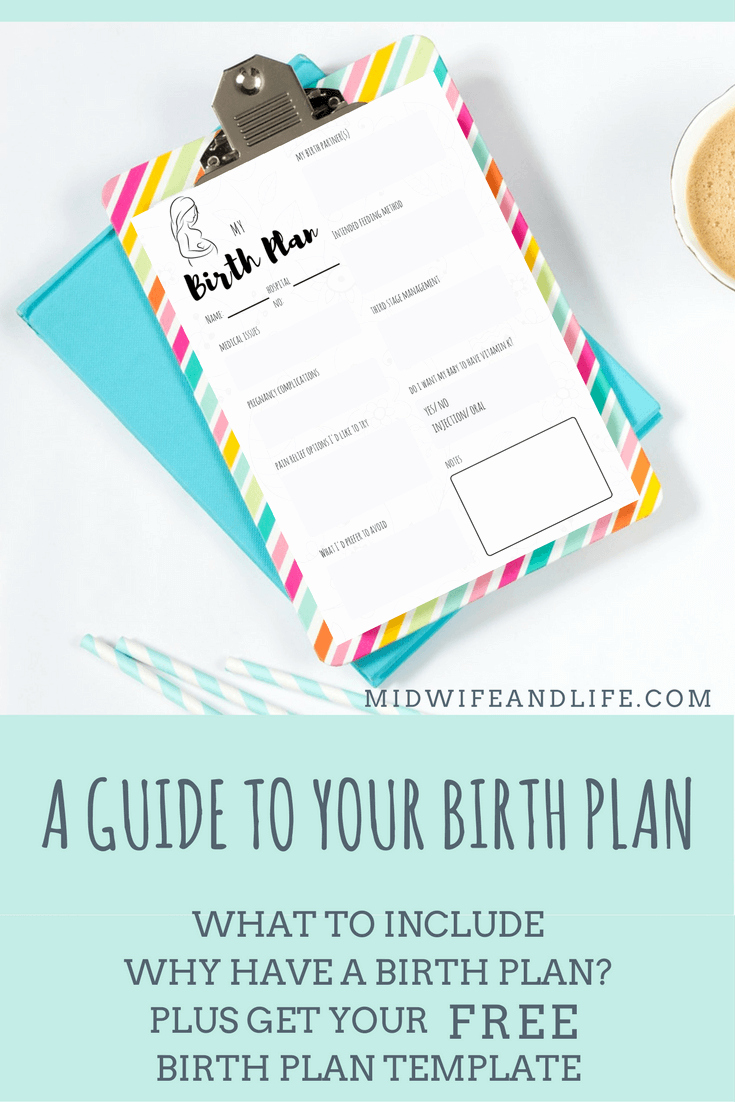 One Page Birth Plan Template Best Of Birth Plan Series Part E the Basics Plus Your Free