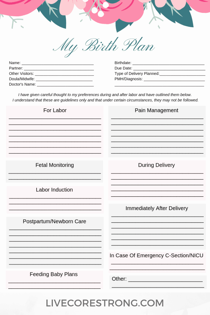 One Page Birth Plan Template Best Of How to Make the Ultimate Birth Plan