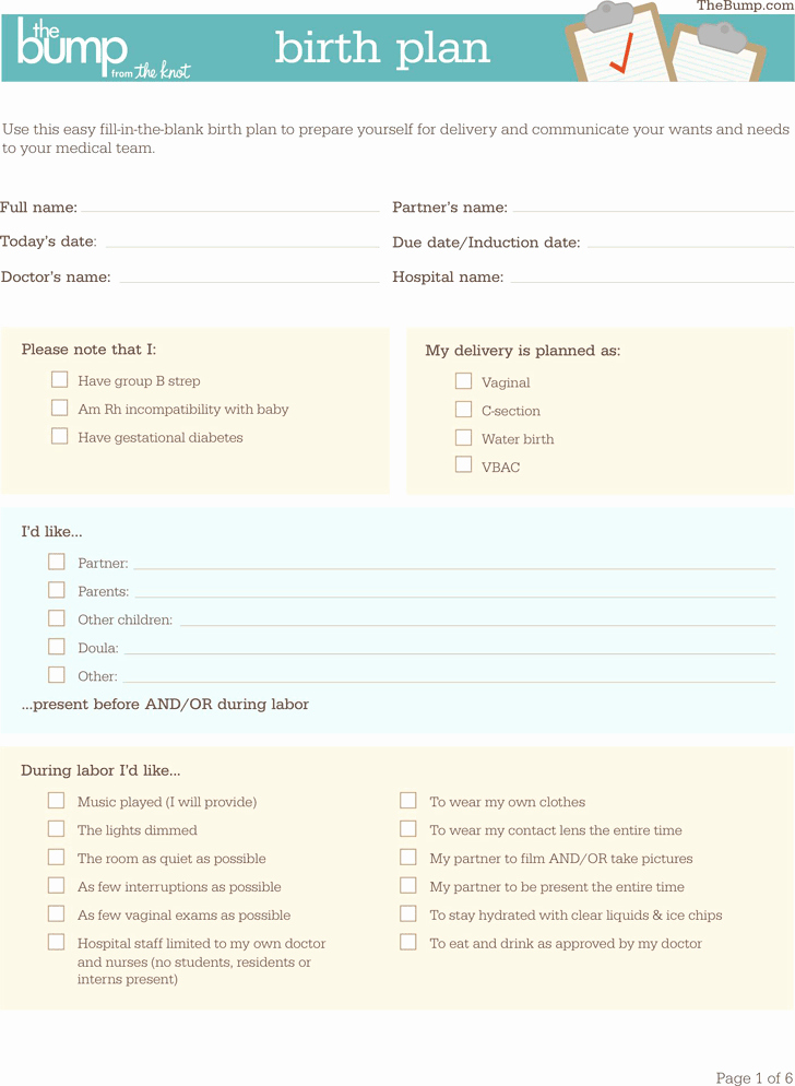 One Page Birth Plan Template Fresh Birth Plan Template Template Free Download