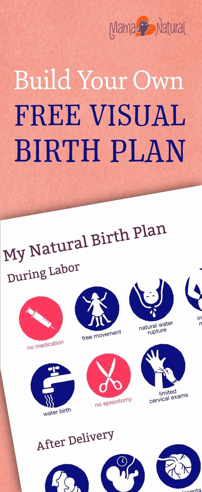 One Page Birth Plan Template Fresh Free Visual Birth Plan Template that Nurses Won T Scoff