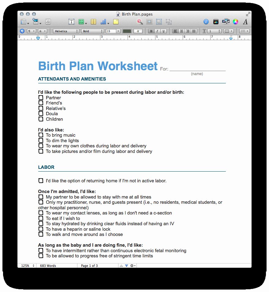 One Page Birth Plan Template Fresh New E Page Birth Plan Template