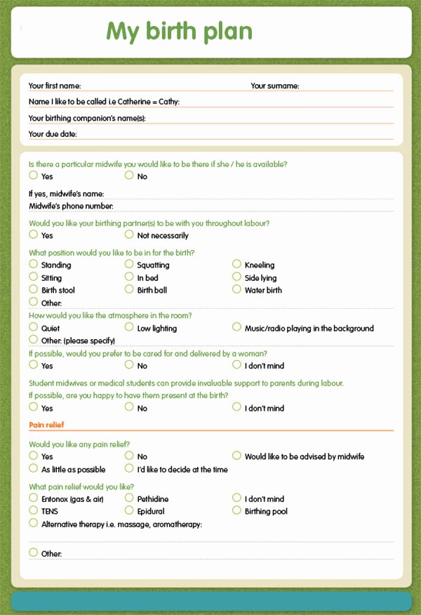 One Page Birth Plan Template Lovely Birth Plan Template 20 Download Free Documents In Pdf Word