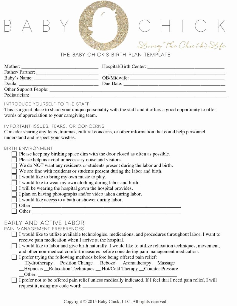 One Page Birth Plan Template New How to Create Your Perfect Birth Plan