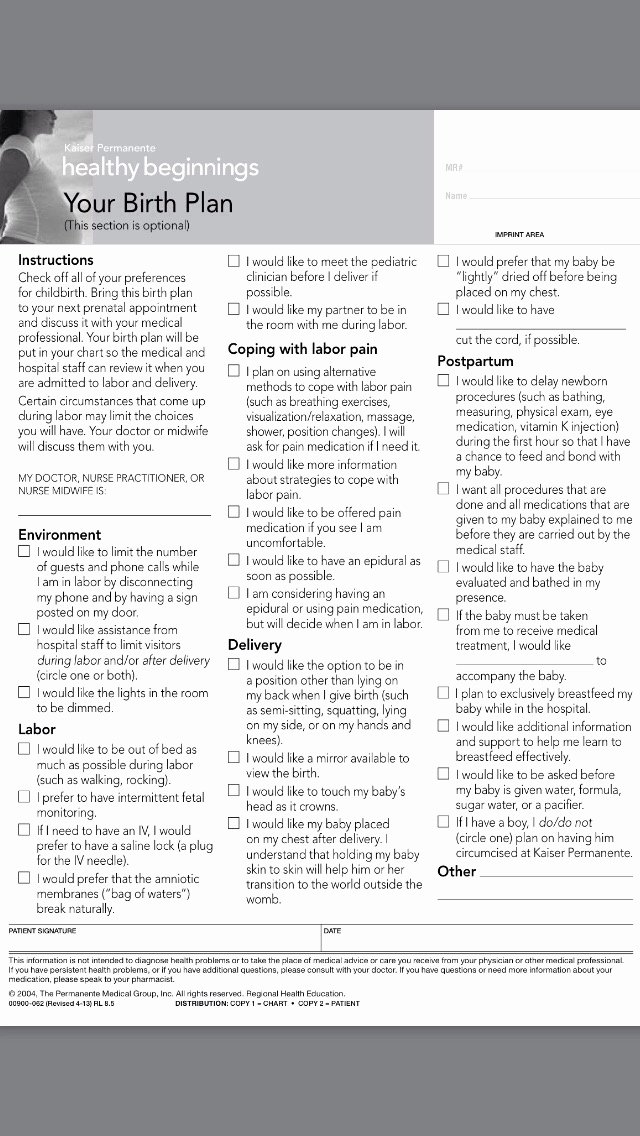 One Page Birth Plan Template Unique What Mommy Brain 10 Printable Checklists that Will