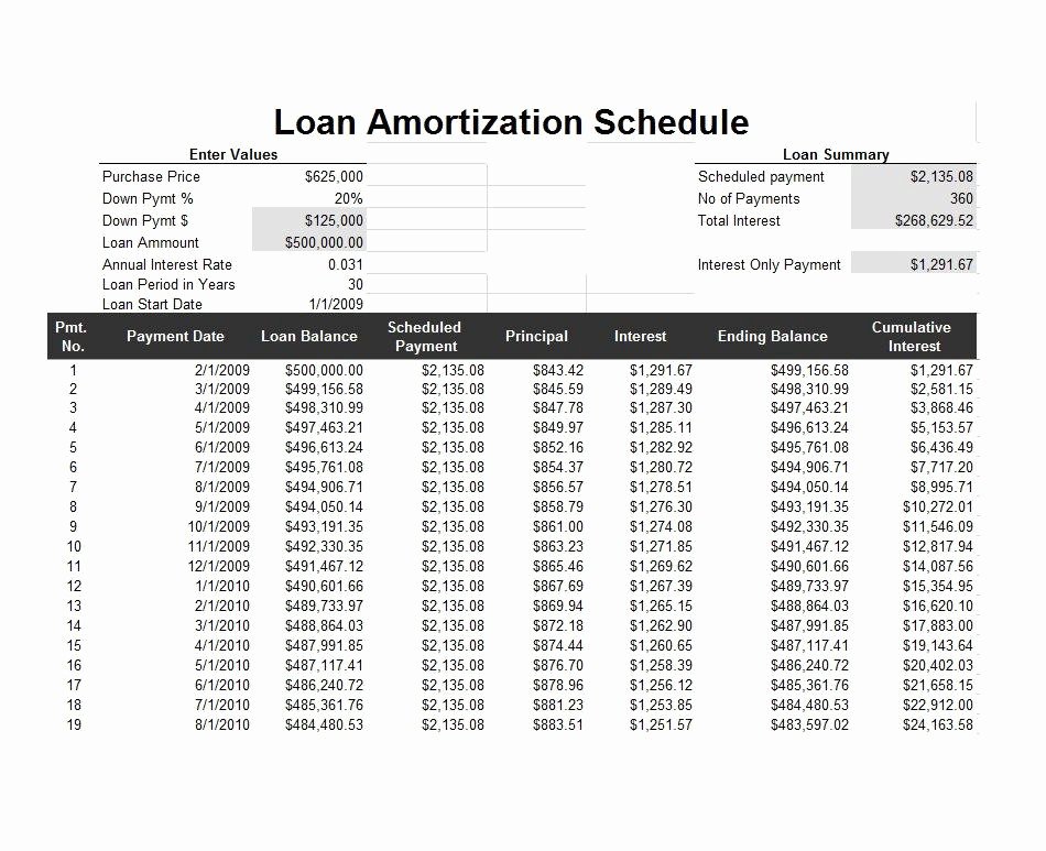 Payment Schedule Template Excel Luxury 24 Free Loan Amortization Schedule Templates Ms Excel