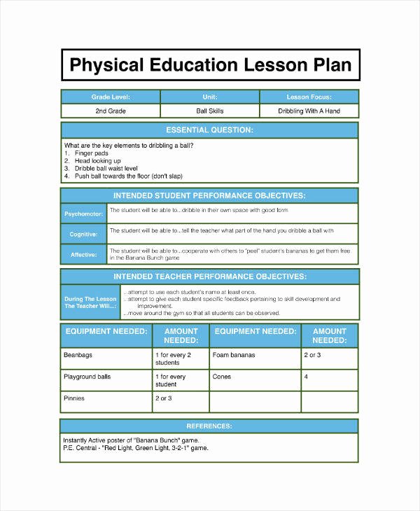 Pe Lesson Plan Template Luxury 7 Physical Education Lesson Plan Templates Pdf Word