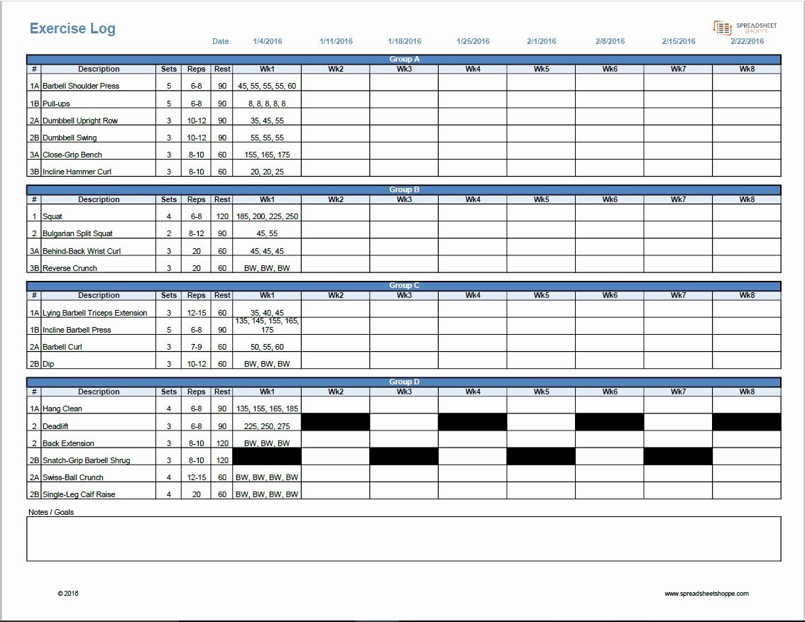 Personal Fitness Plan Template Best Of Workout Log Template Spreadsheetshoppe