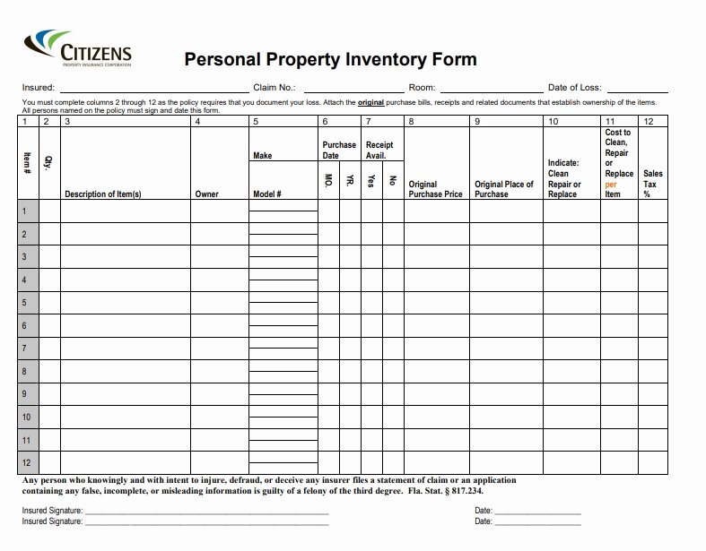 Personal Property Inventory Template Inspirational Property Inventory Templates