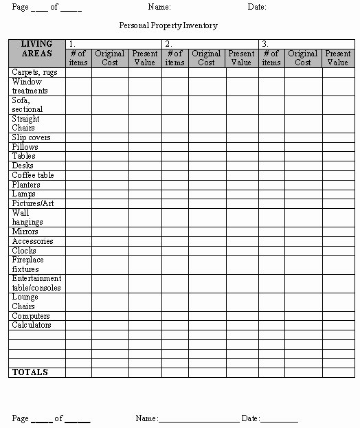 Personal Property Inventory Template Lovely 27 Of Personal Property Inventory Template