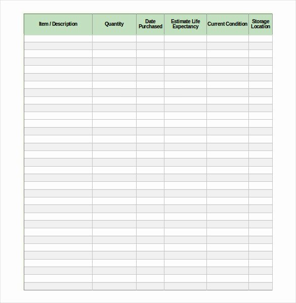 Personal Property Inventory Template Unique Household Inventory List Template Vatansun