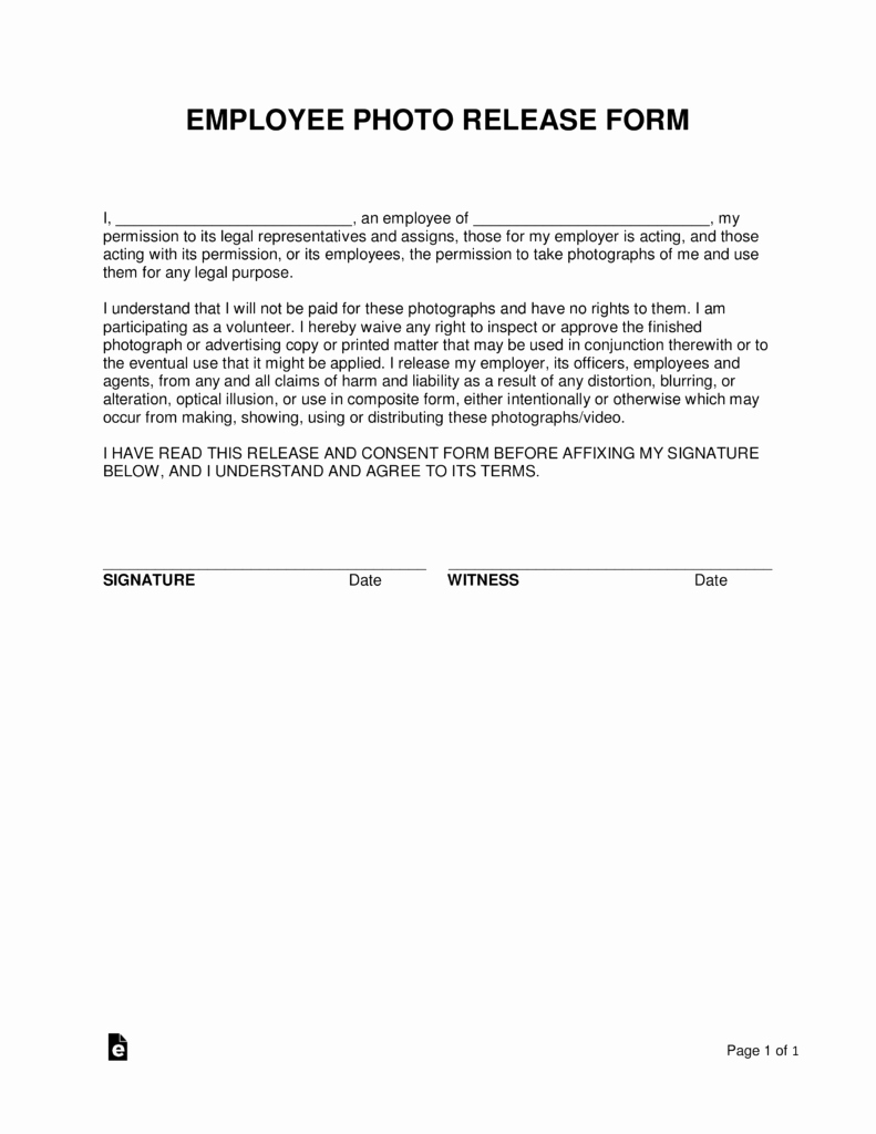 Photo Release form Template Free Lovely Free Employee Release form Word Pdf