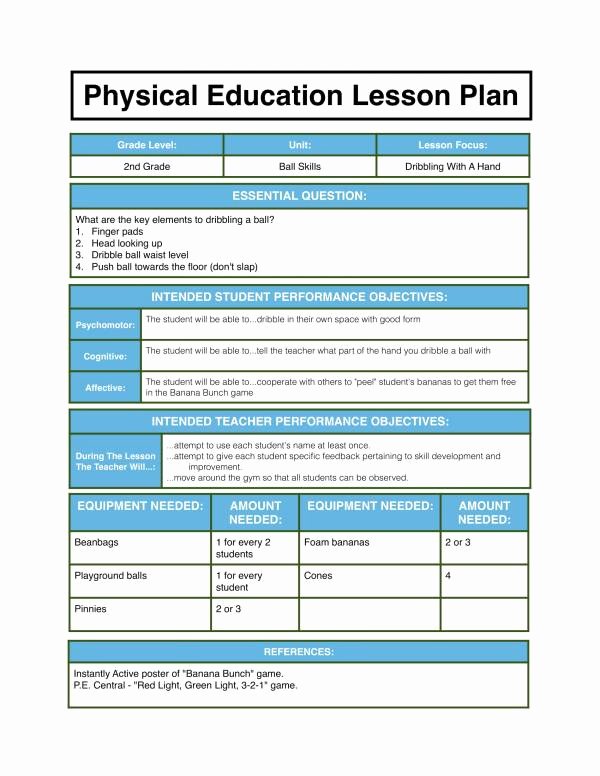 Physical Education Lesson Plan Templates Awesome Free 10 Physical Education Lesson Plan Samples In Pdf