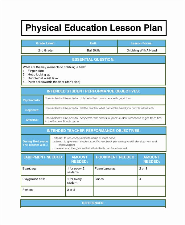 Physical Education Lesson Plan Templates New Free 62 Lesson Plan Examples &amp; Samples In Google Docs