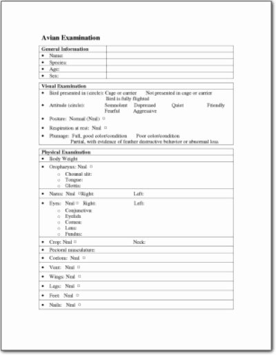 Physical Exam form Template Lovely Avian Physical Examination form 1