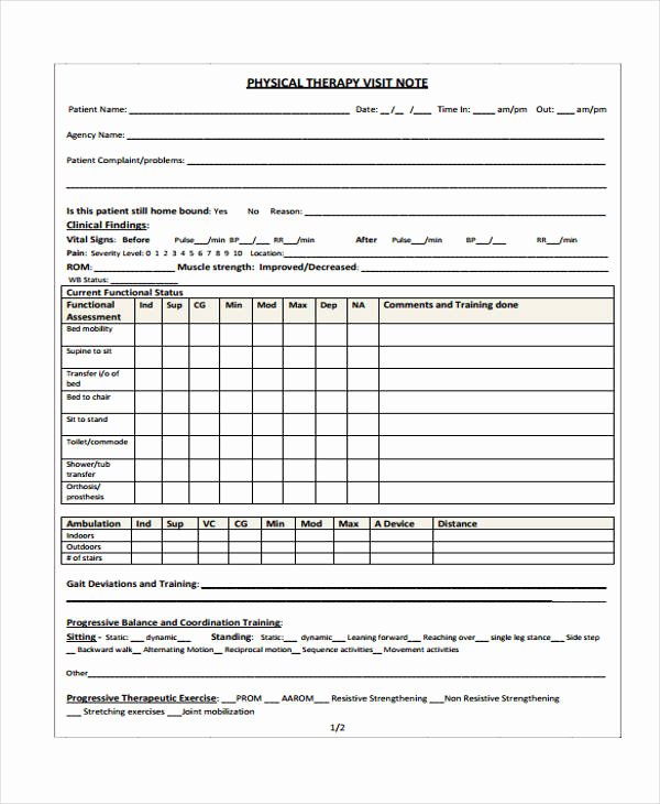 Physical therapy Daily Notes Templates Fresh 25 Sample Note Templates