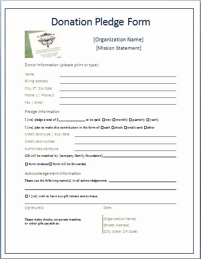 Pledge Card Template Word Beautiful Sample Donation Pledge form