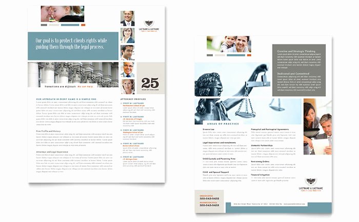 Product Sell Sheet Template Unique Family Law attorneys Datasheet Template Design