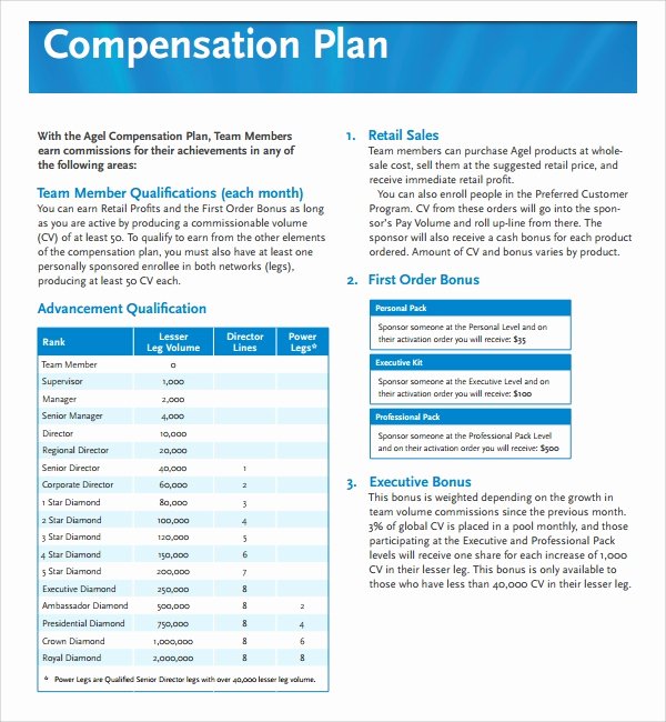 Professional Compensation Plan Template Inspirational Sample Pensation Plan Template 12 Free Documents In