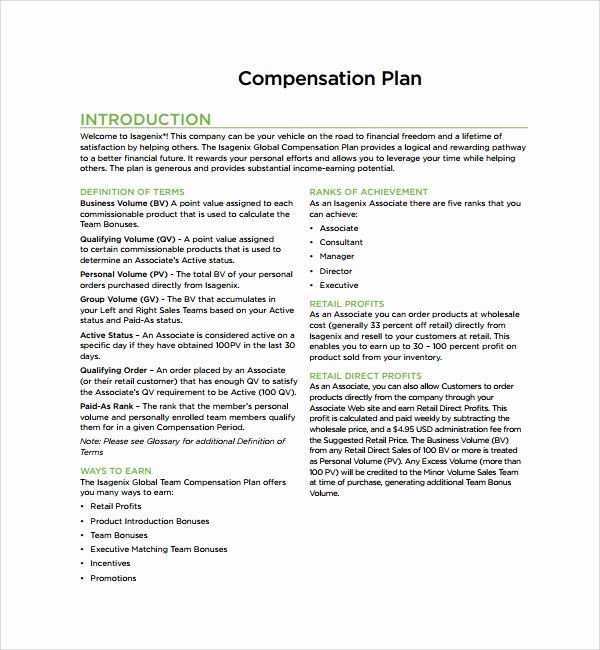 Professional Compensation Plan Template Luxury Sample Pensation Plan Template 8 Free Documents In