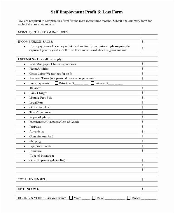 Profit and Loss Template Pdf Awesome Sample Profit and Loss form 9 Examples In Pdf Word