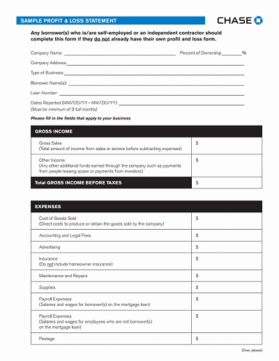 Profit and Loss Template Pdf Inspirational Profit and Loss Statement Free Download Edit Fill