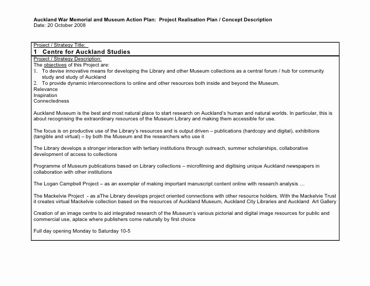Project Action Plan Template Elegant Project Planning Template