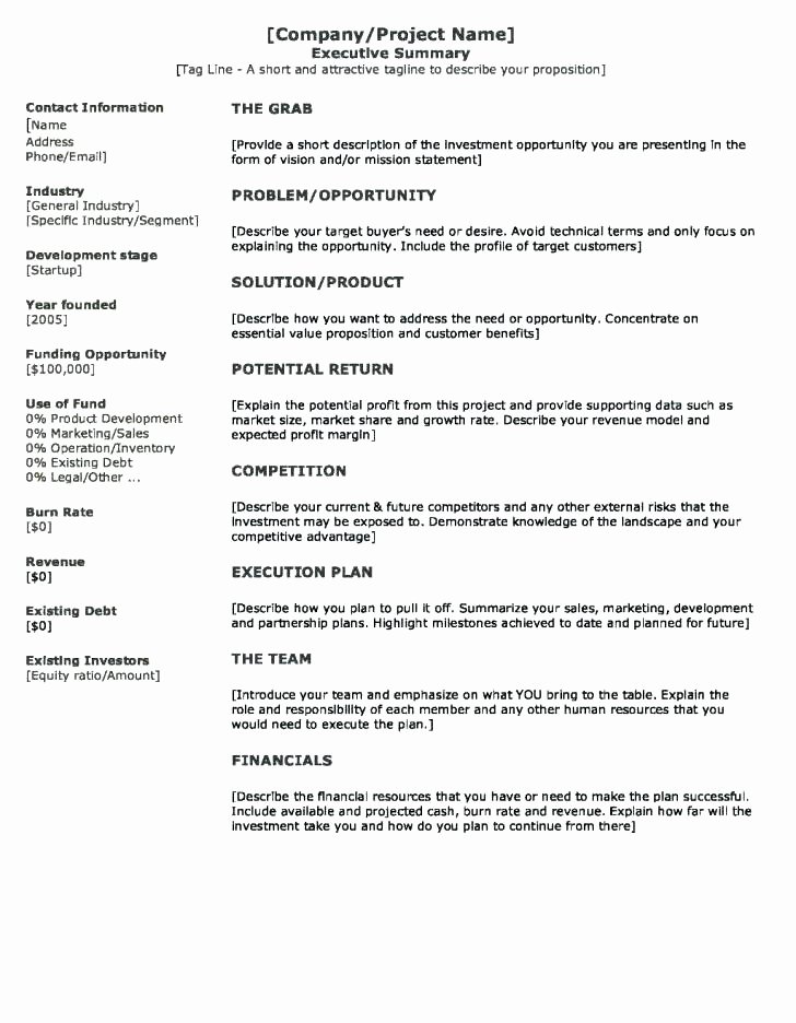Project Executive Summary Template Awesome 11 12 Executive Summary Sample for Project Report