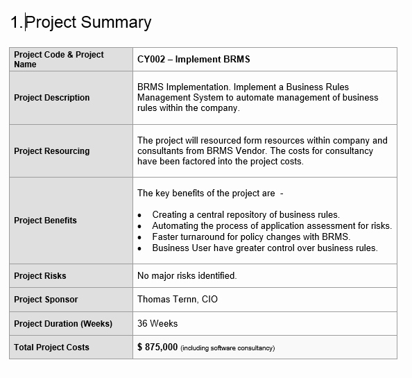 Project Executive Summary Template Luxury Project Proposal Template Free Project Management Templates