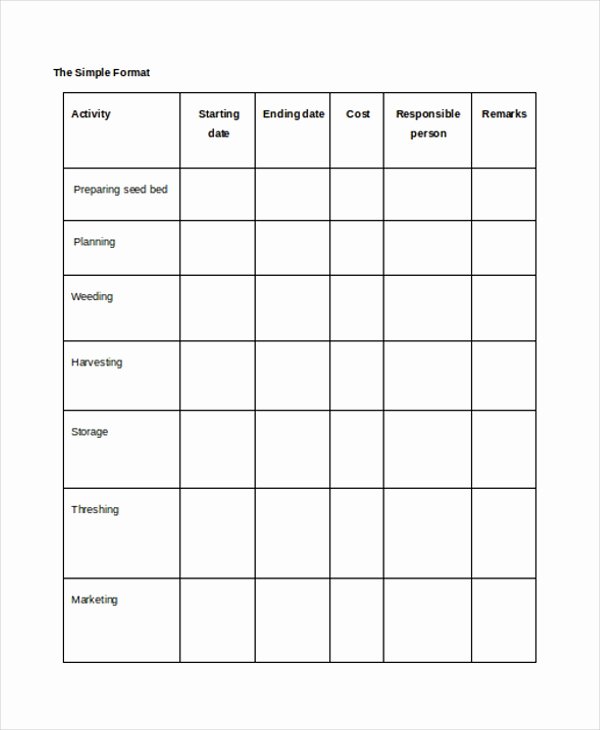 Project Implementation Plan Template Lovely Project Implementation Template 7 Free Word Pdf
