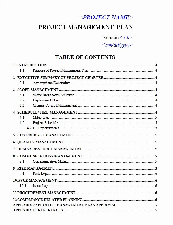 Project Management Plan Template Elegant Project Plan Template 20 Download Free Documents In Pdf