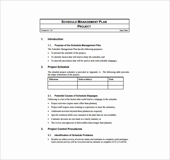 Project Management Plan Template Lovely Project Management Plan Template 12 Free Word Pdf