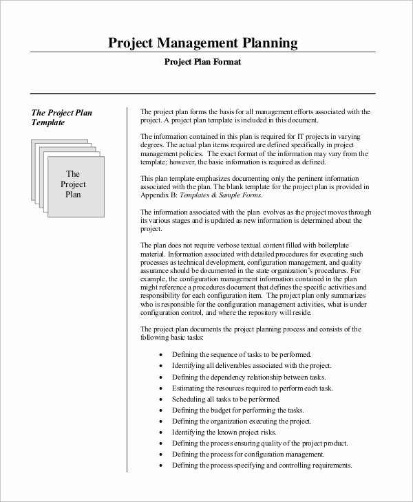 Project Management Plan Template Luxury 10 Procurement Management Plan Templates Pdf Word