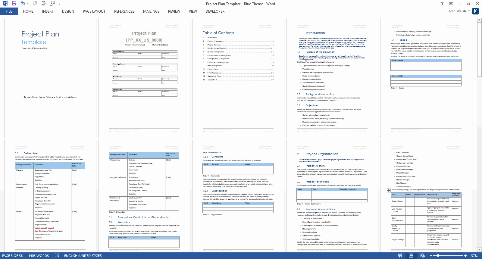 Project Plan Template Word Lovely Project Plan Template – Download Ms Word &amp; Excel forms