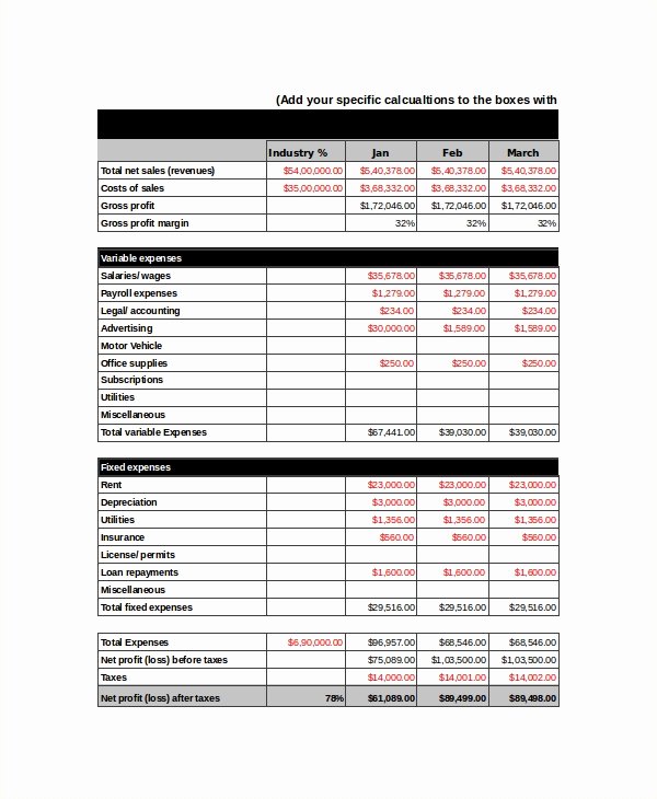 Projected Income Statement Template Best Of In E Statement Template 11 Free Word Excel Pdf