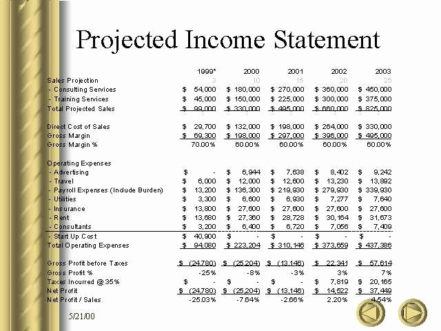 Projected Income Statement Template Inspirational Projected In E Statement