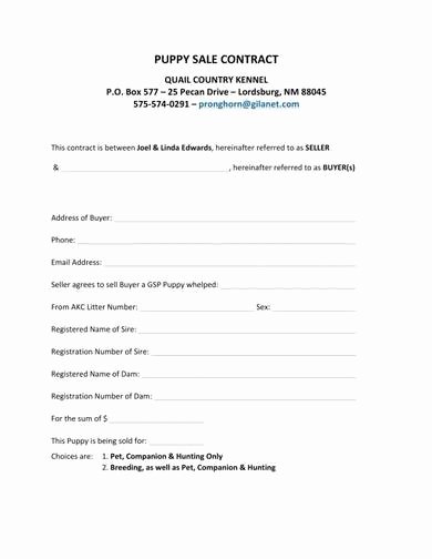 Puppy Sale Contract Template Best Of Free 9 Simple Contract In Pdf
